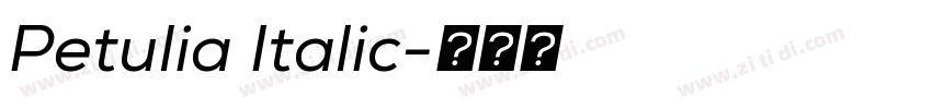 Petulia Italic字体转换 Petulia Italic字体转换